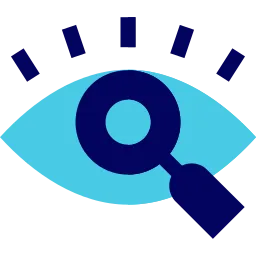 vision (1)